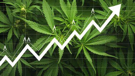 Aurora Cannabis Inc. (ACB) Stock Price, Quote & News .